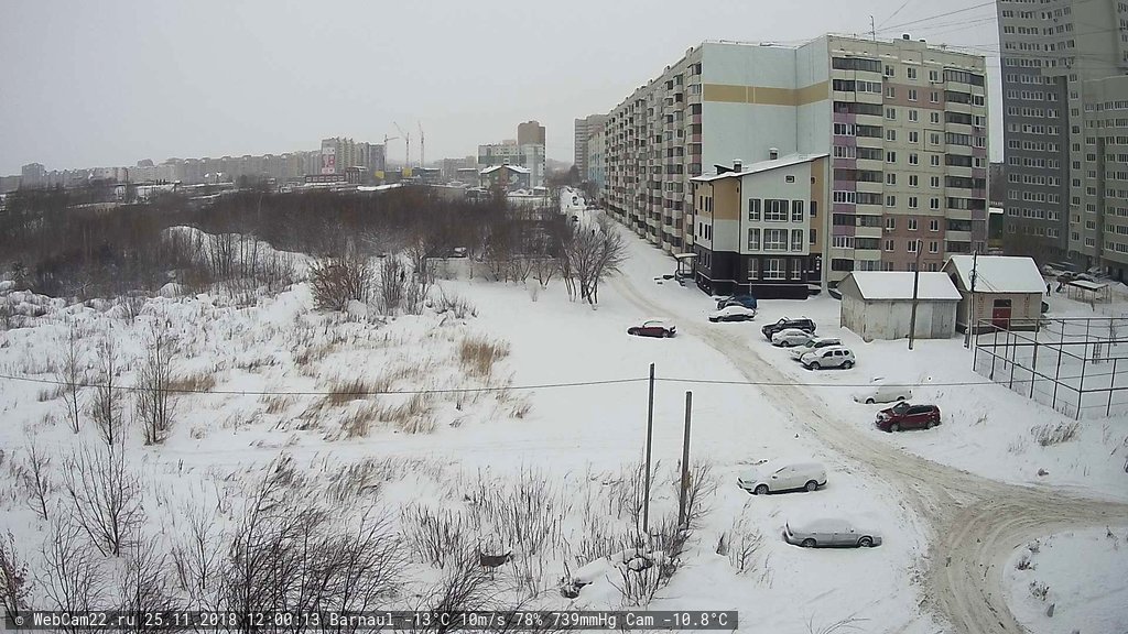 Кадр с камеры 25 ноября 2018 года