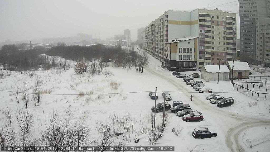 Кадр с камеры 10 января 2019 года