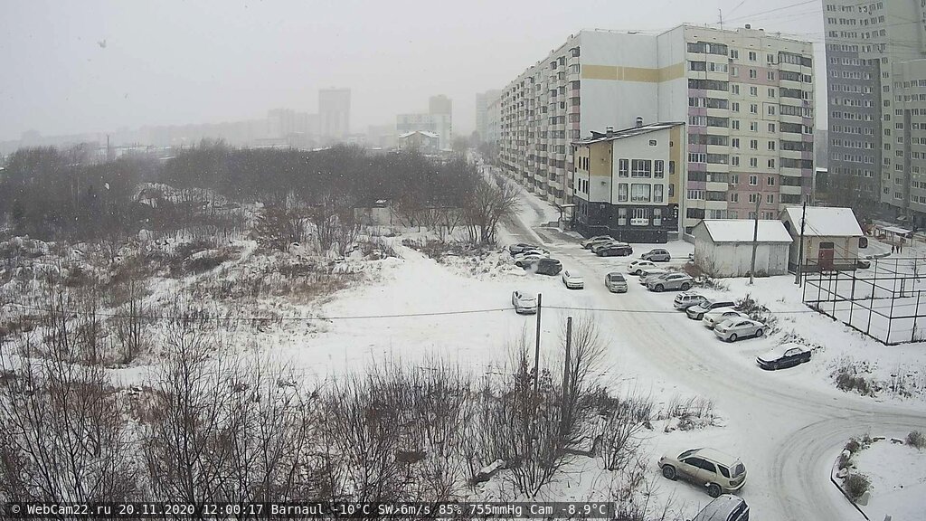 Кадр с камеры 20 ноября 2020 года