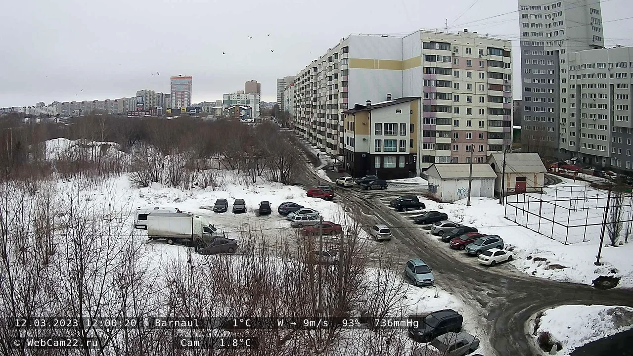 Кадр с камеры 12 марта 2023 года