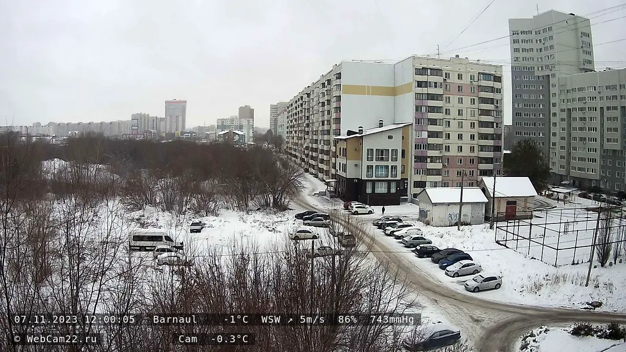 Кадр с камеры 7 ноября 2023 года