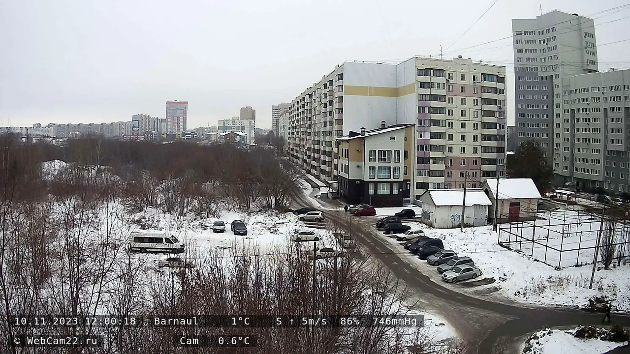 Кадр с камеры 10 ноября 2023 года