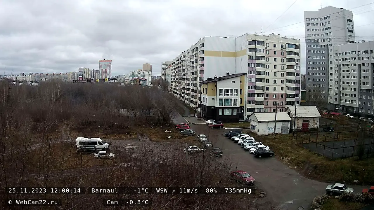 Кадр с камеры 25 ноября 2023 года