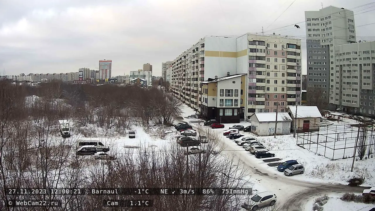 Кадр с камеры 27 ноября 2023 года
