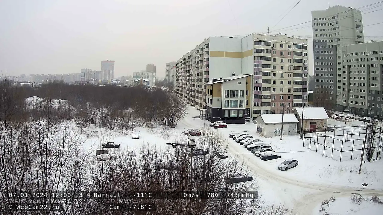Кадр с камеры 7 января 2024 года