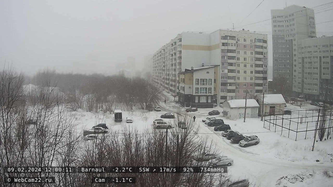 Кадр с камеры 9 февраля 2024 года