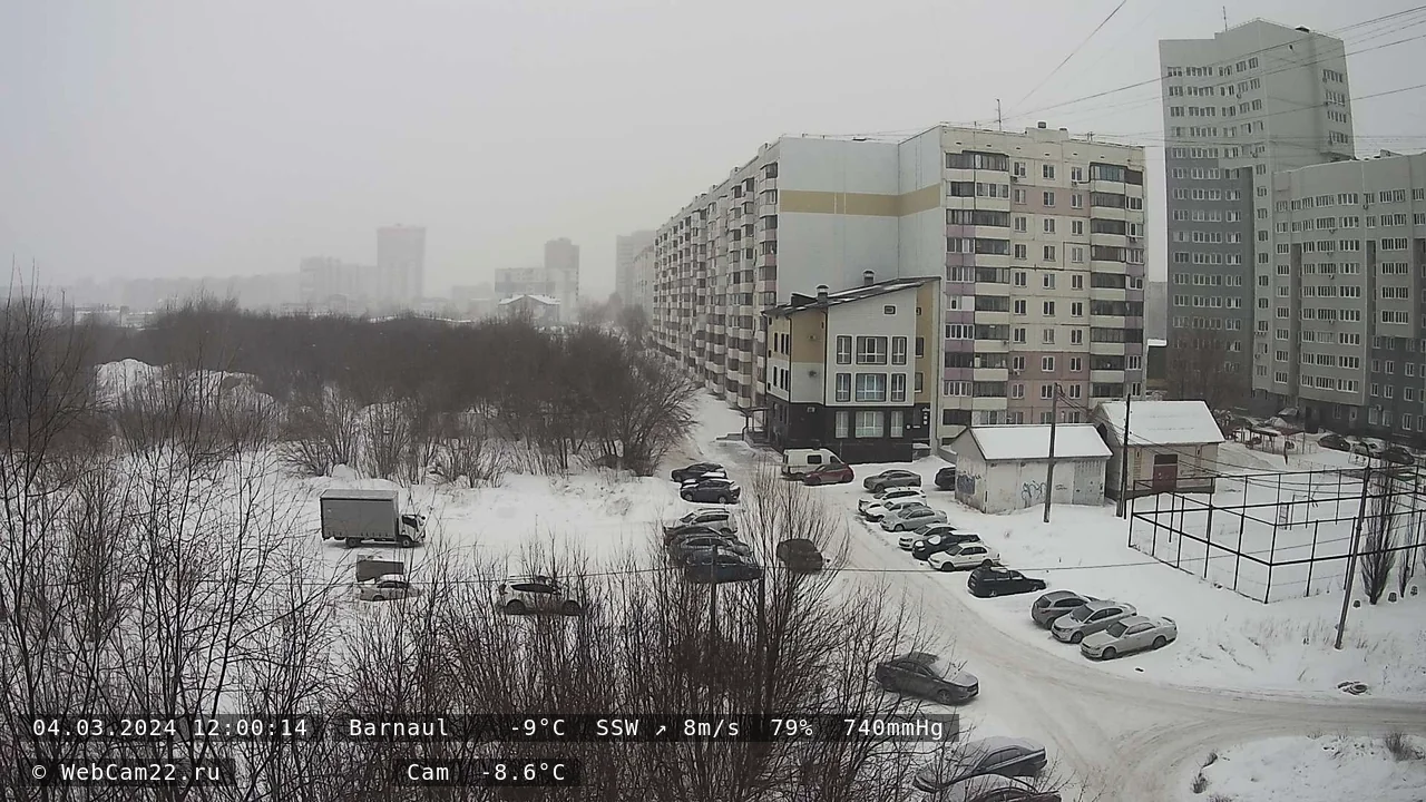 Кадр с камеры 4 марта 2024 года