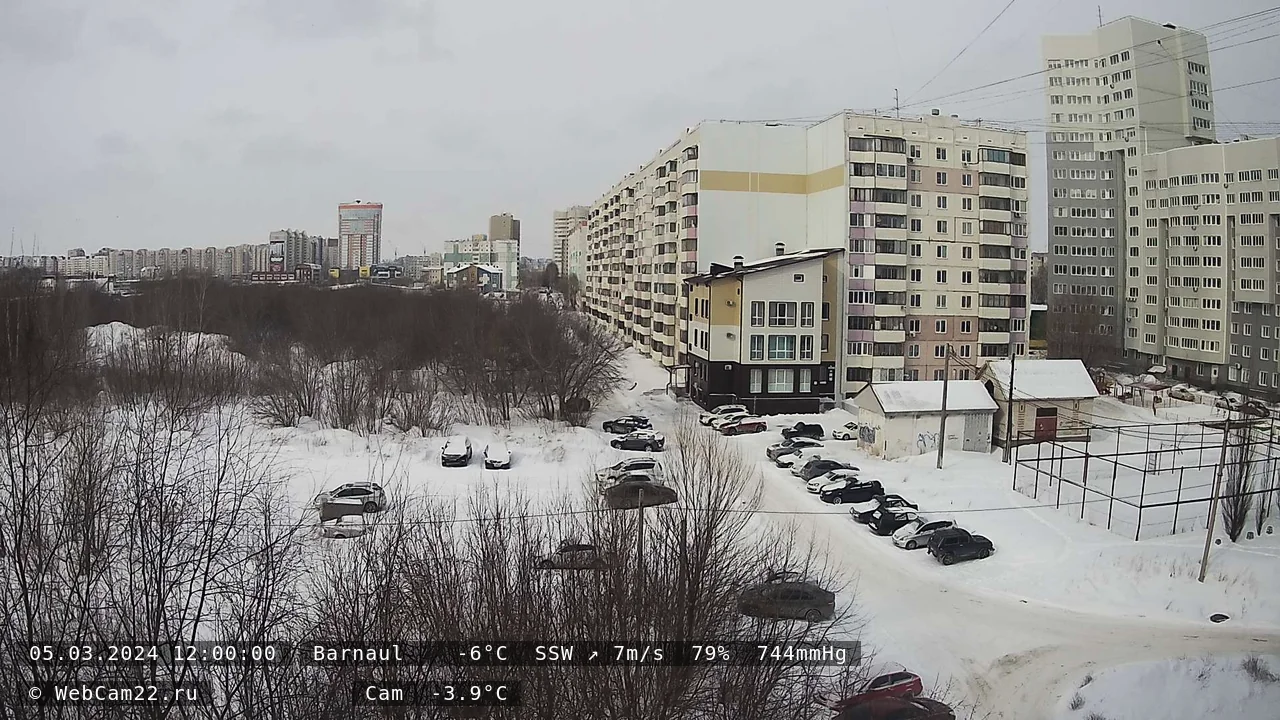 Кадр с камеры 5 марта 2024 года
