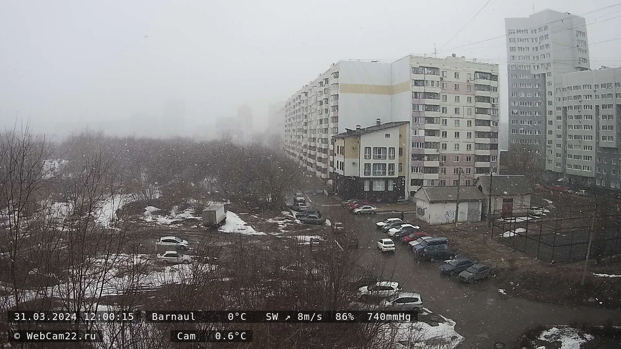 Кадр с камеры 31 марта 2024 года