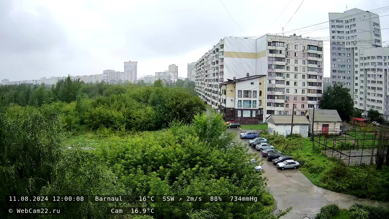 Кадр с камеры 11 августа 2024 года