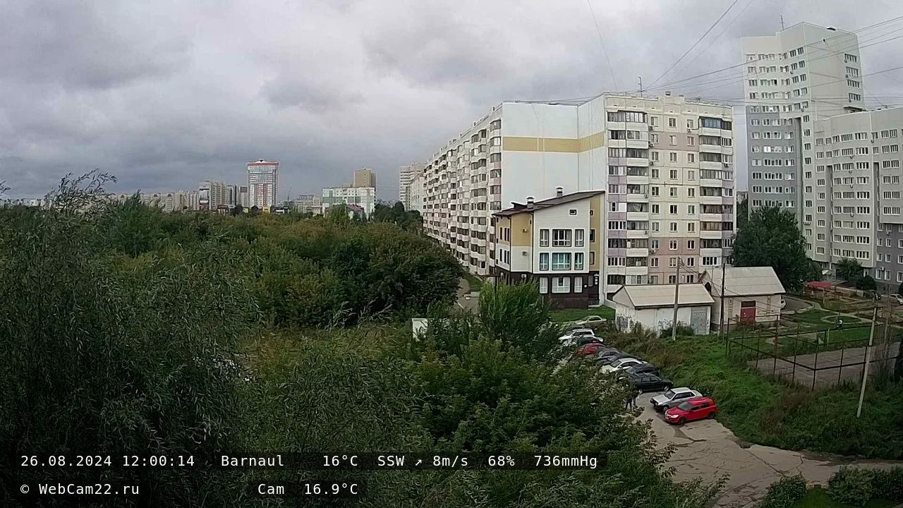 Кадр с камеры 26 августа 2024 года