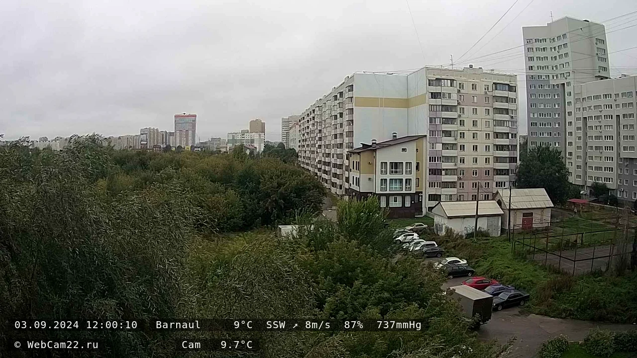 Кадр с камеры 3 сентября 2024 года