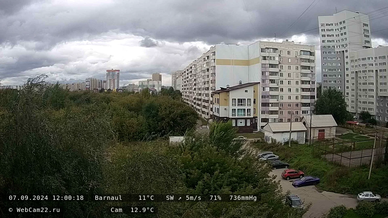 Кадр с камеры 7 сентября 2024 года