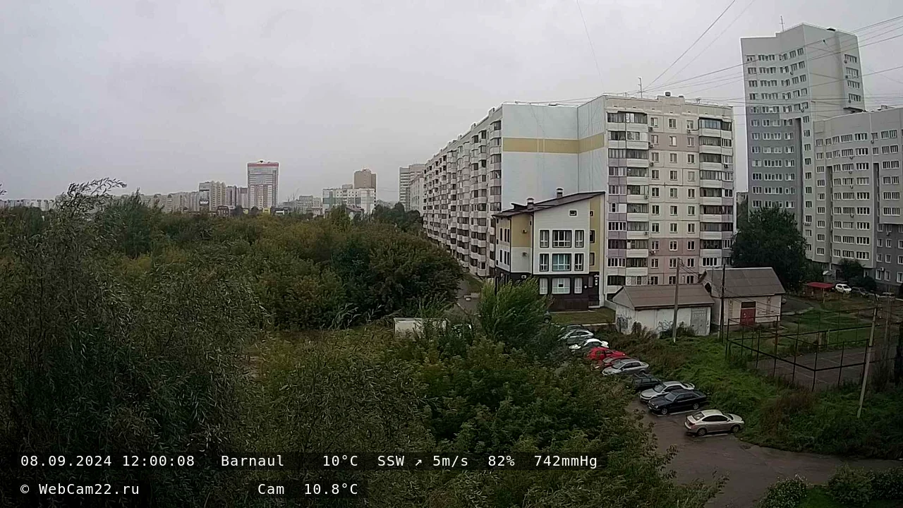 Кадр с камеры 8 сентября 2024 года