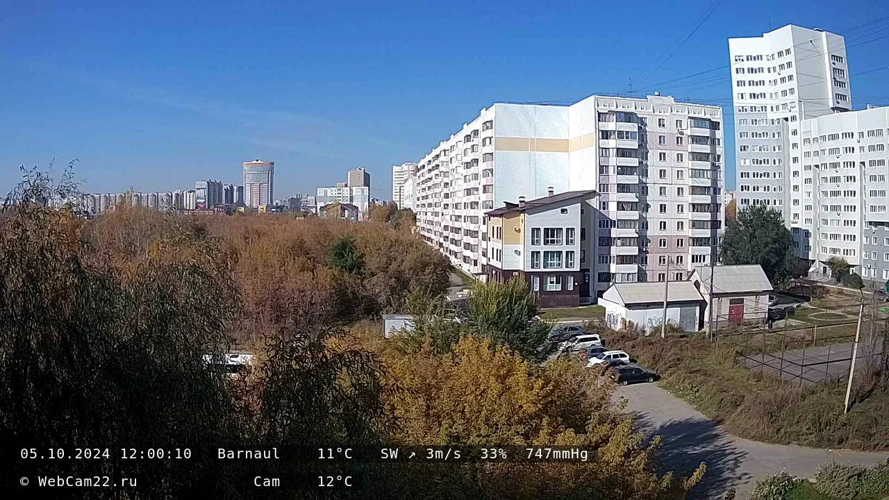 Кадр с камеры 5 октября 2024 года