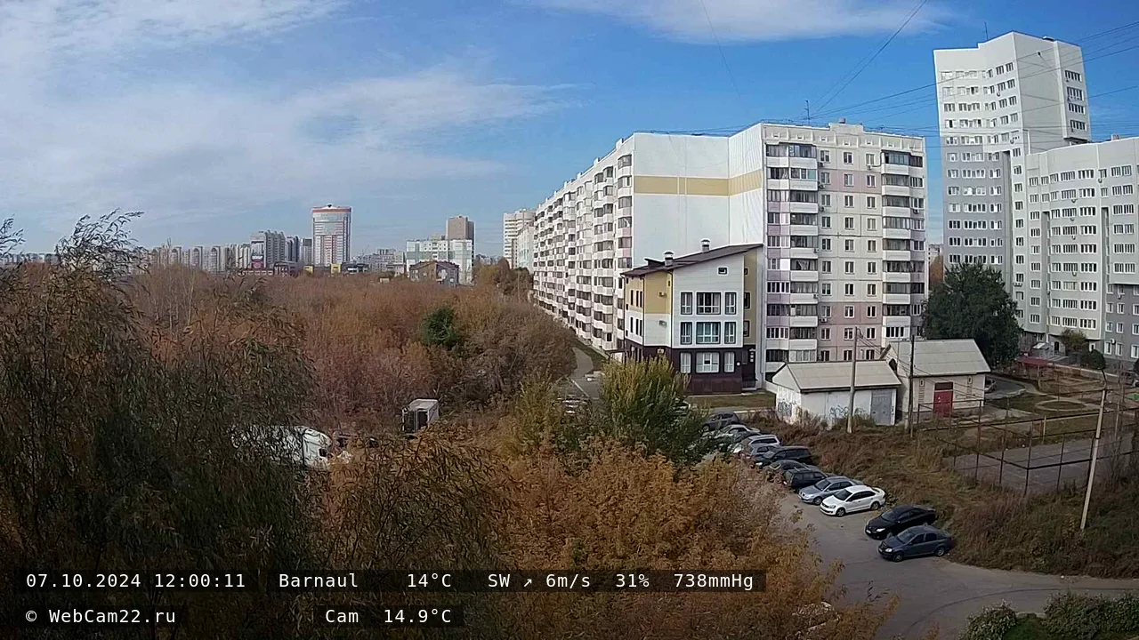 Кадр с камеры 7 октября 2024 года