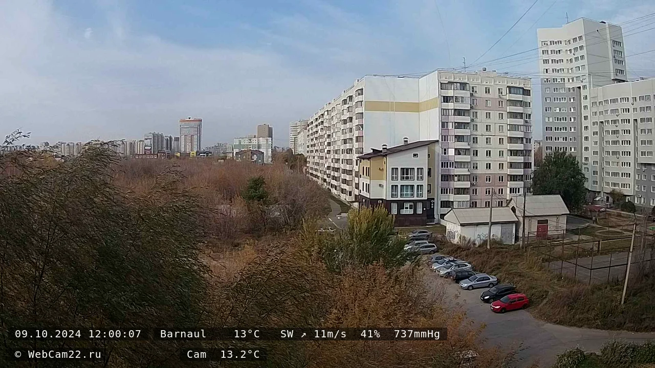 Кадр с камеры 9 октября 2024 года