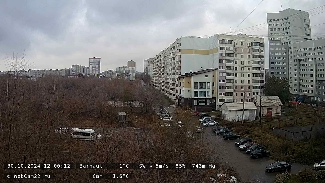 Кадр с камеры 30 октября 2024 года