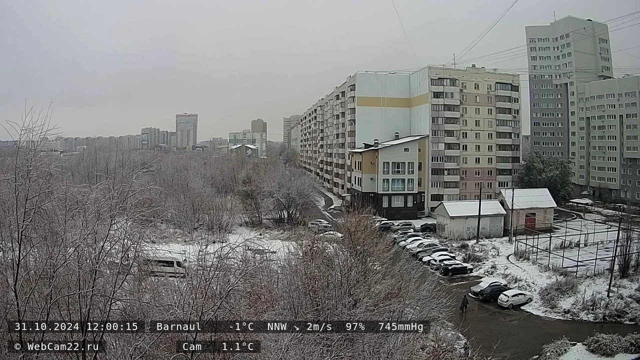 Кадр с камеры 31 октября 2024 года
