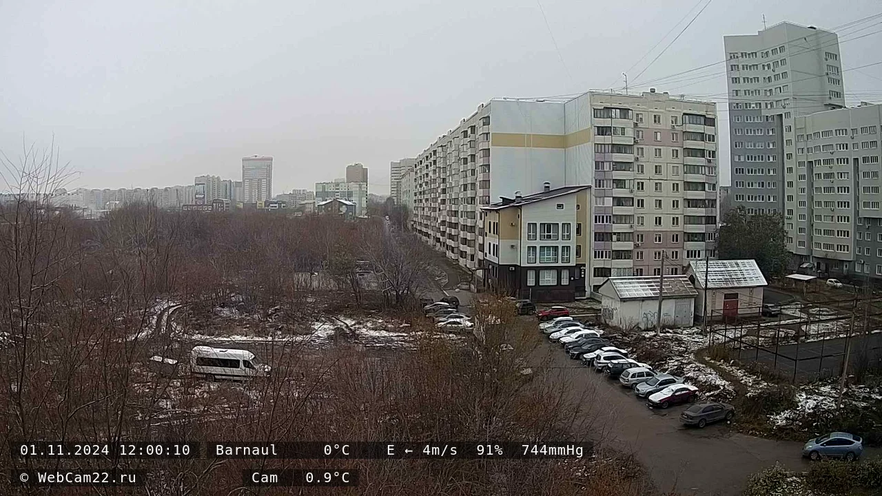 Кадр с камеры 1 ноября 2024 года
