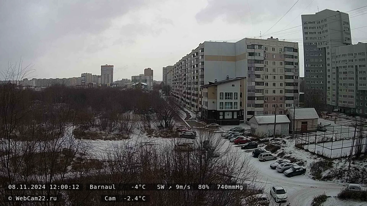 Кадр с камеры 8 ноября 2024 года