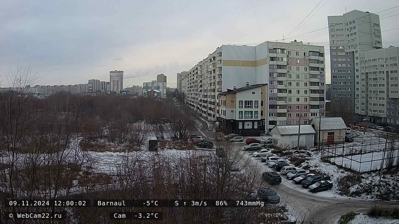 Кадр с камеры 9 ноября 2024 года