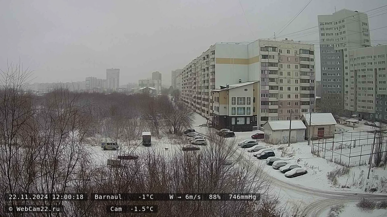 Кадр с камеры 22 ноября 2024 года