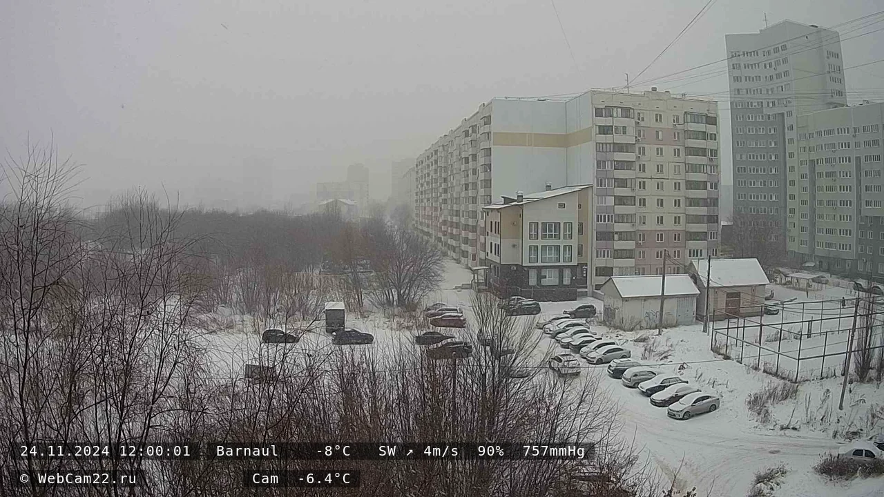 Кадр с камеры 24 ноября 2024 года