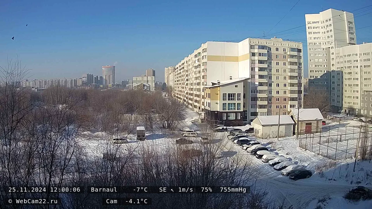 Кадр с камеры 25 ноября 2024 года