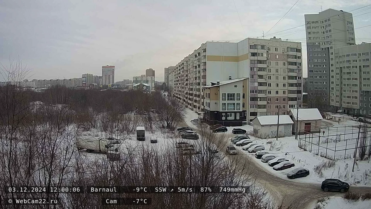 Кадр с камеры 3 декабря 2024 года