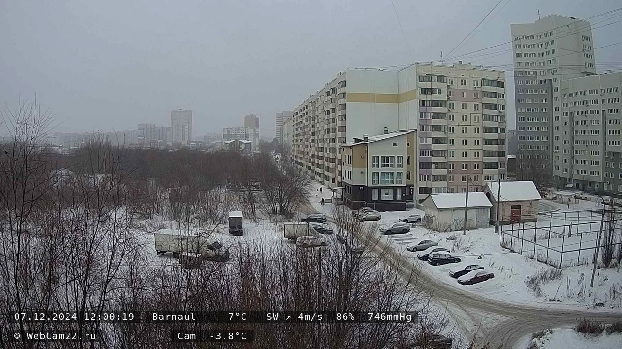 Кадр с камеры 7 декабря 2024 года