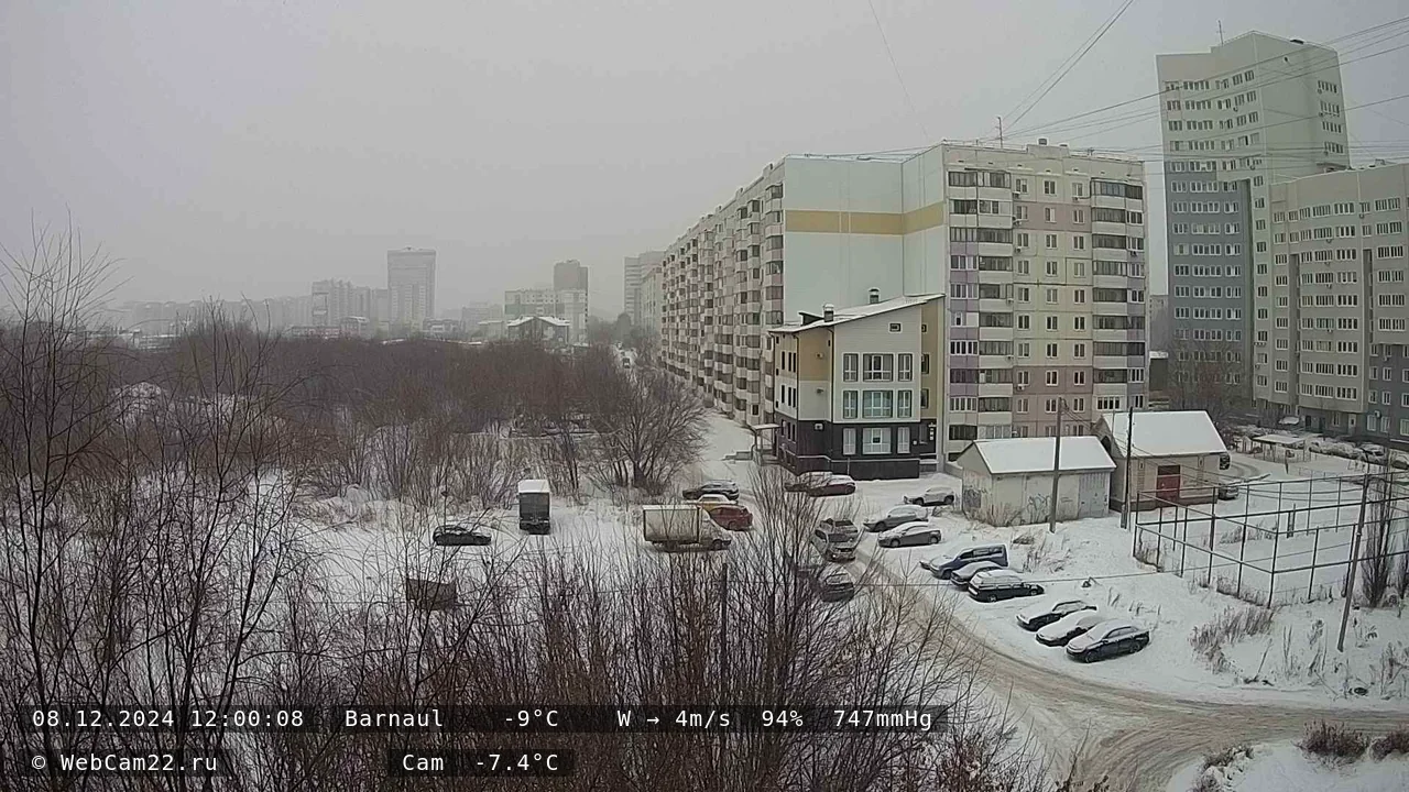 Кадр с камеры 8 декабря 2024 года