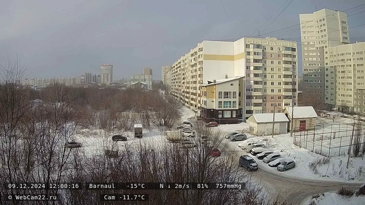 Кадр с камеры 9 декабря 2024 года