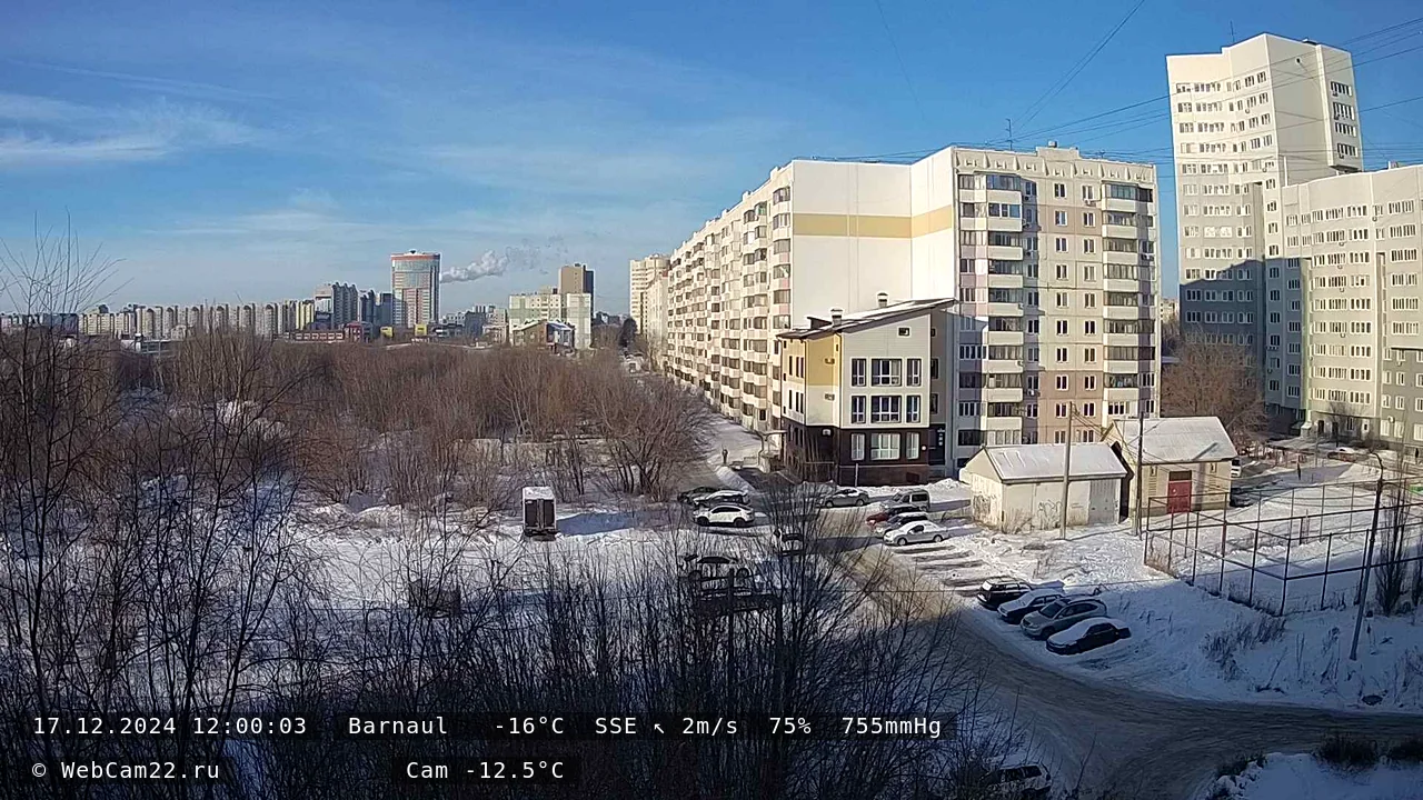 Кадр с камеры 17 декабря 2024 года