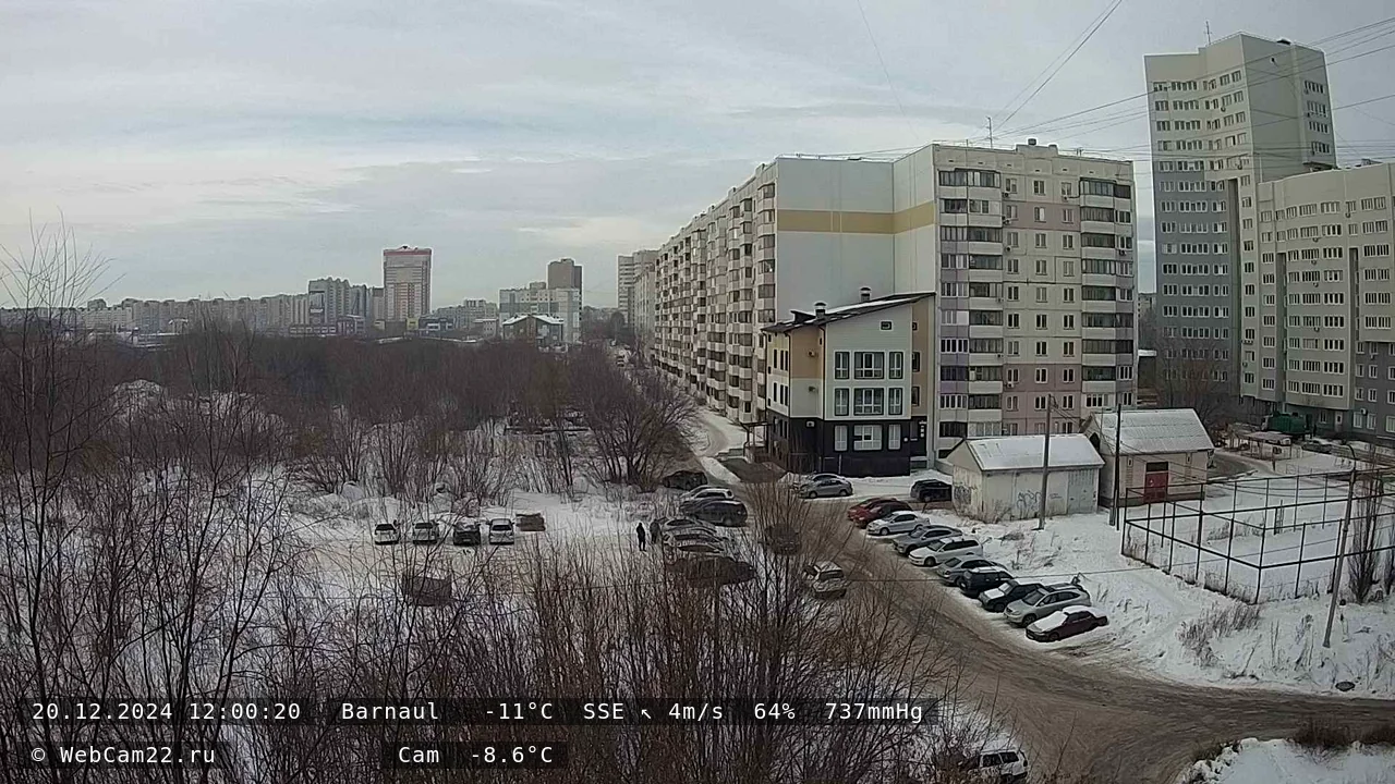 Кадр с камеры 20 декабря 2024 года