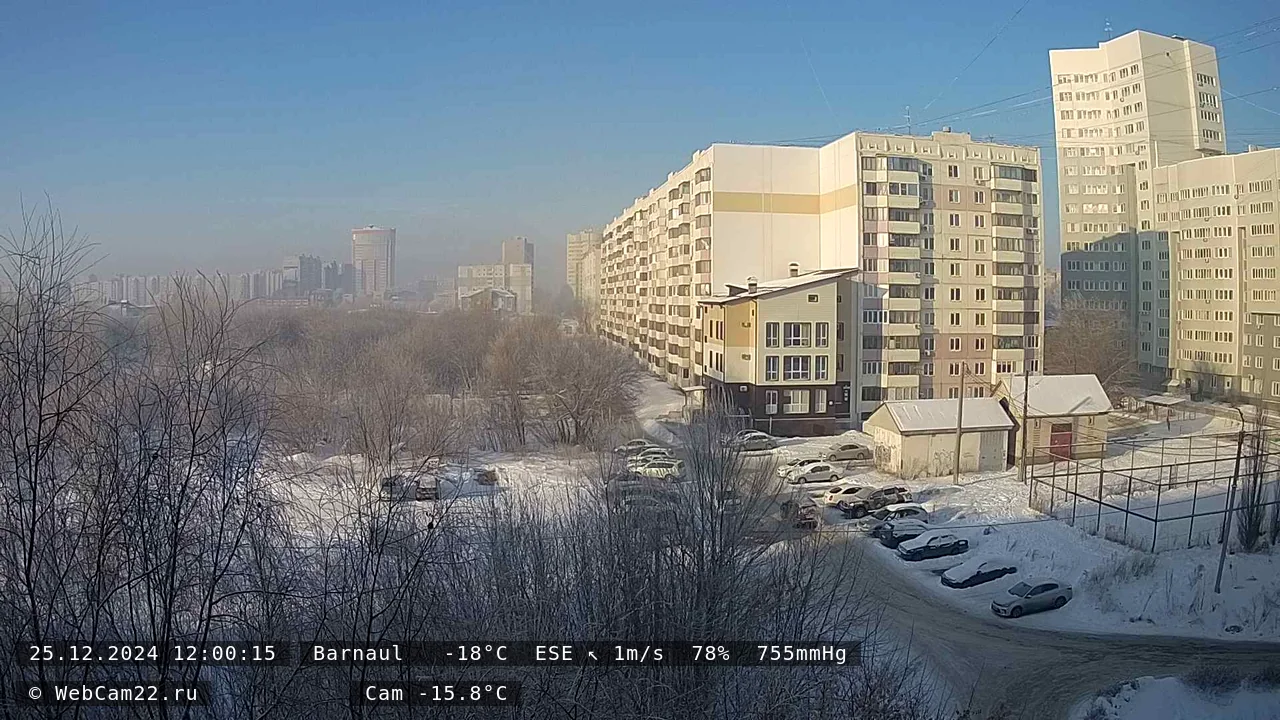 Кадр с камеры 25 декабря 2024 года