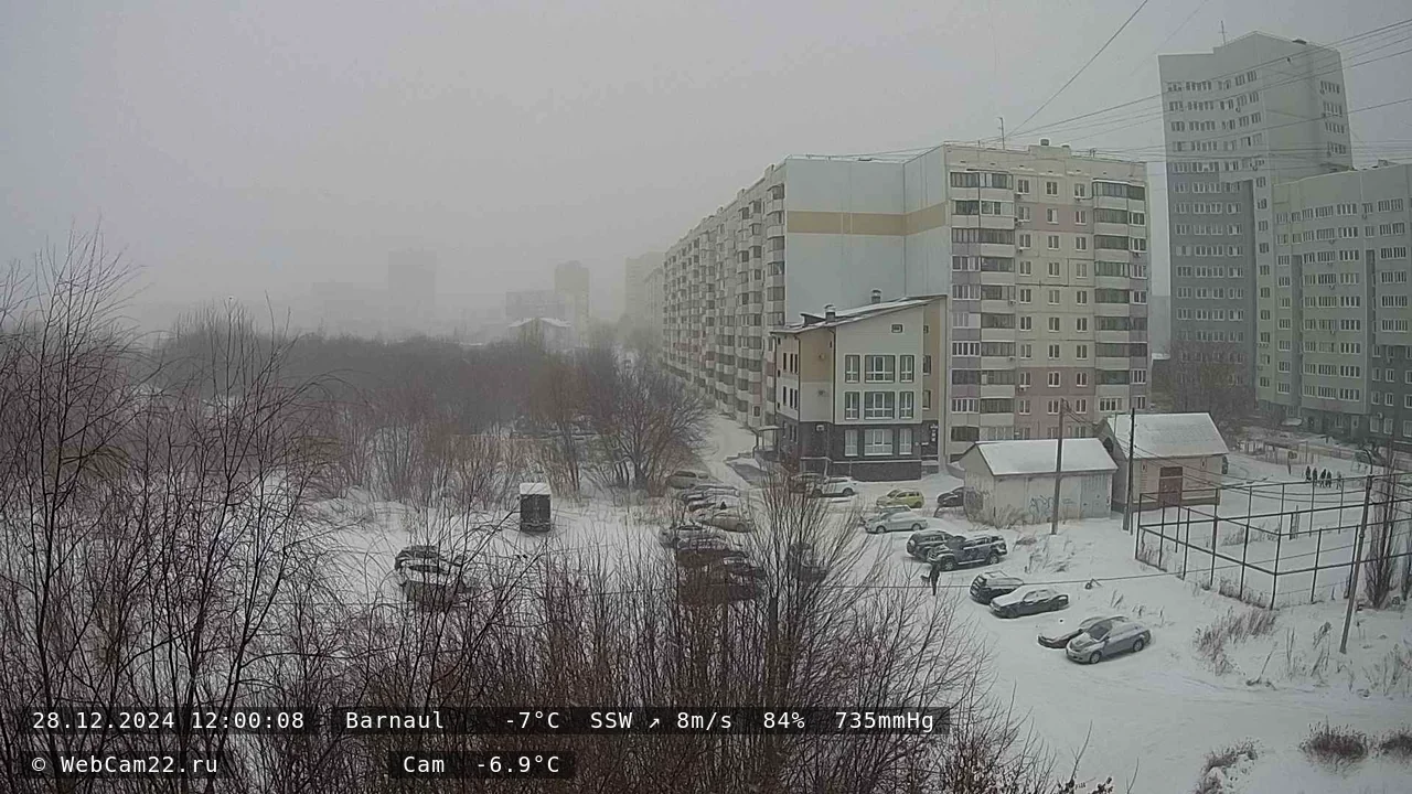 Кадр с камеры 28 декабря 2024 года