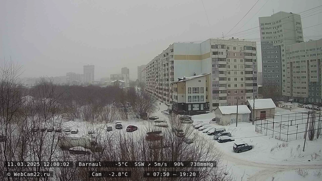 Кадр с камеры 11 марта 2025 года