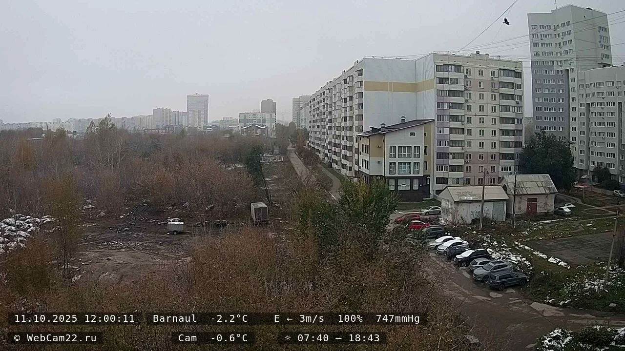 Кадр с камеры 11 октября 2025 года