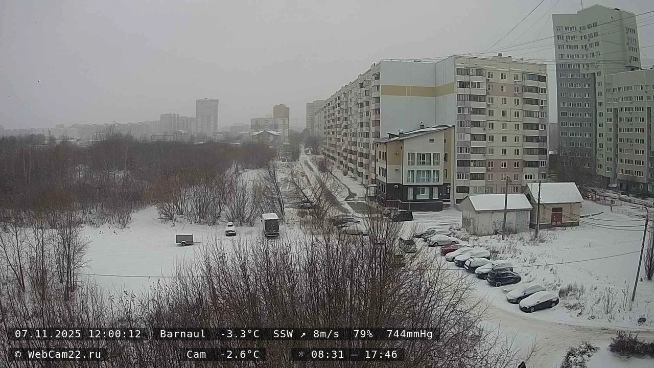 Кадр с камеры 7 ноября 2025 года