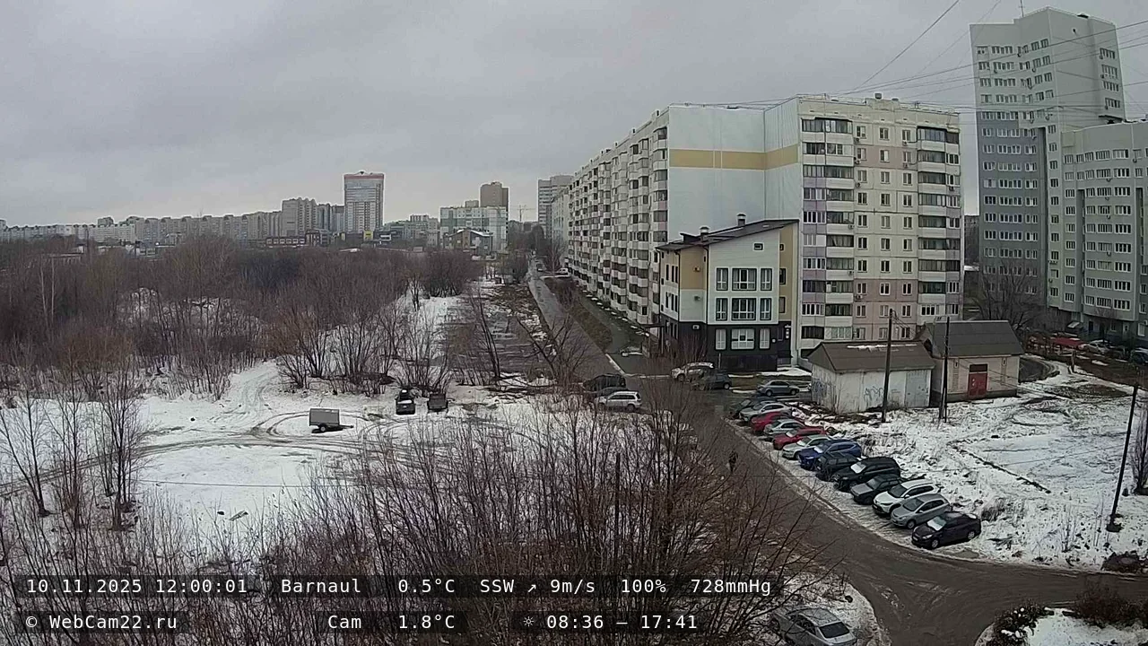 Кадр с камеры 10 ноября 2025 года