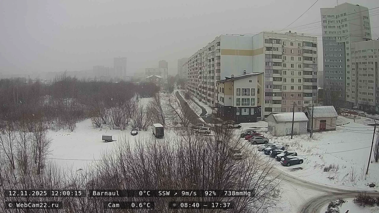 Кадр с камеры 12 ноября 2025 года