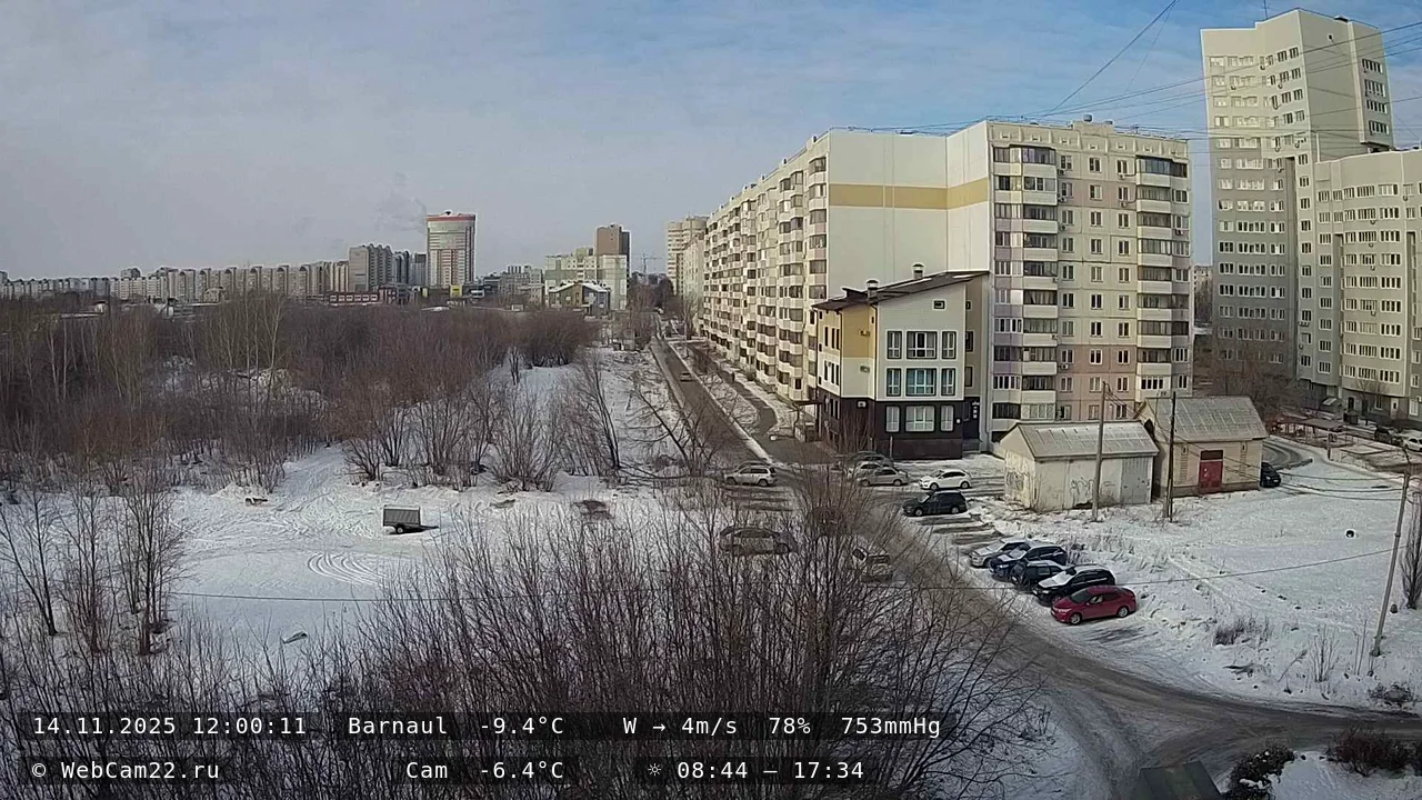 Кадр с камеры 14 ноября 2025 года