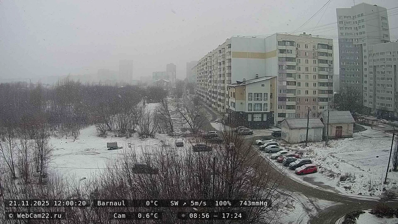 Кадр с камеры 21 ноября 2025 года