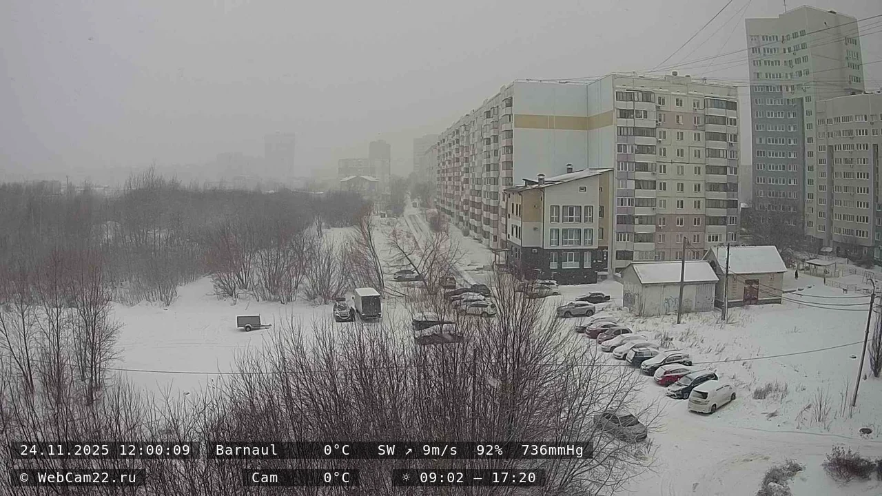 Кадр с камеры 24 ноября 2025 года