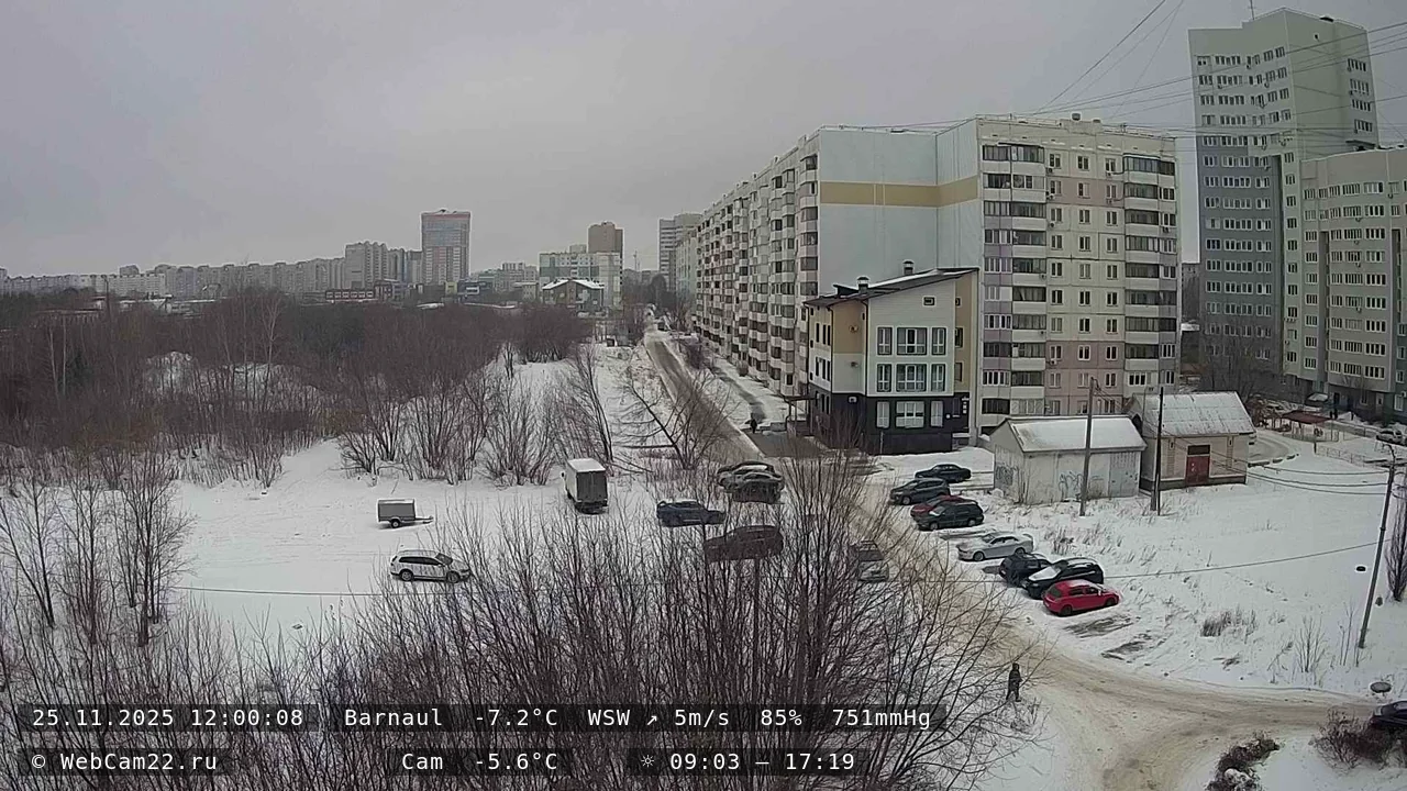 Кадр с камеры 25 ноября 2025 года