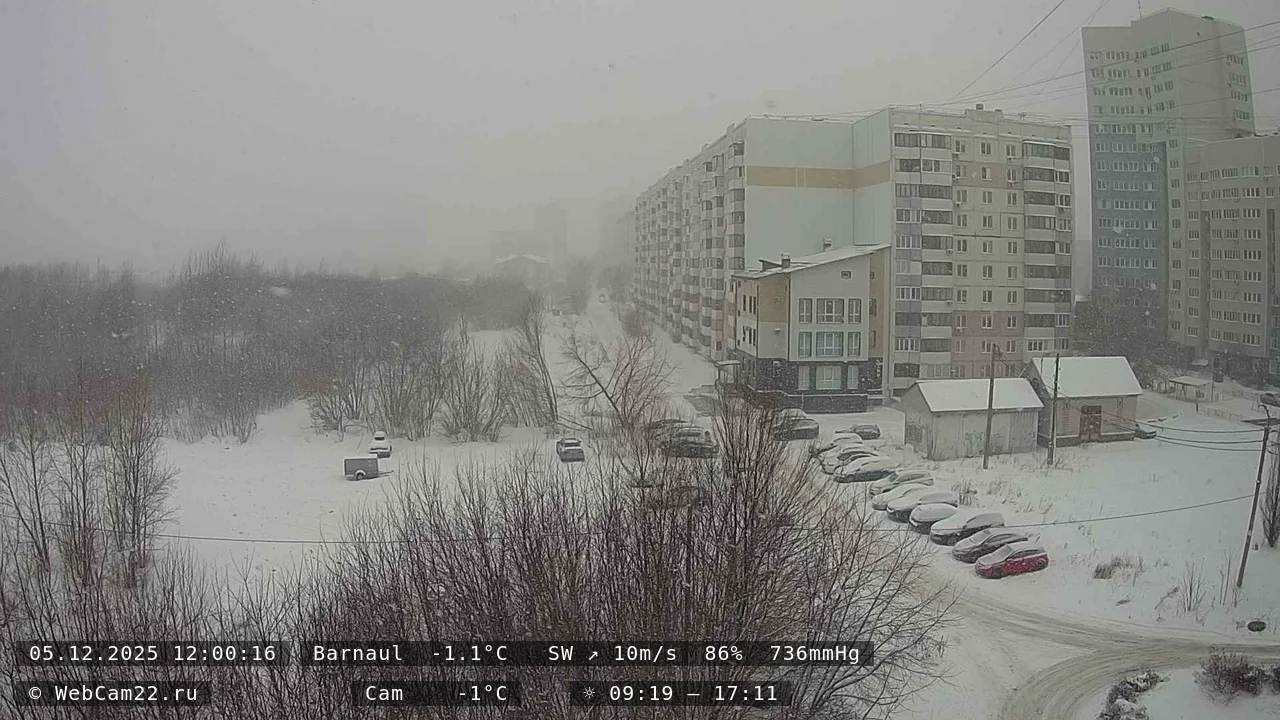 Кадр с камеры 5 декабря 2025 года