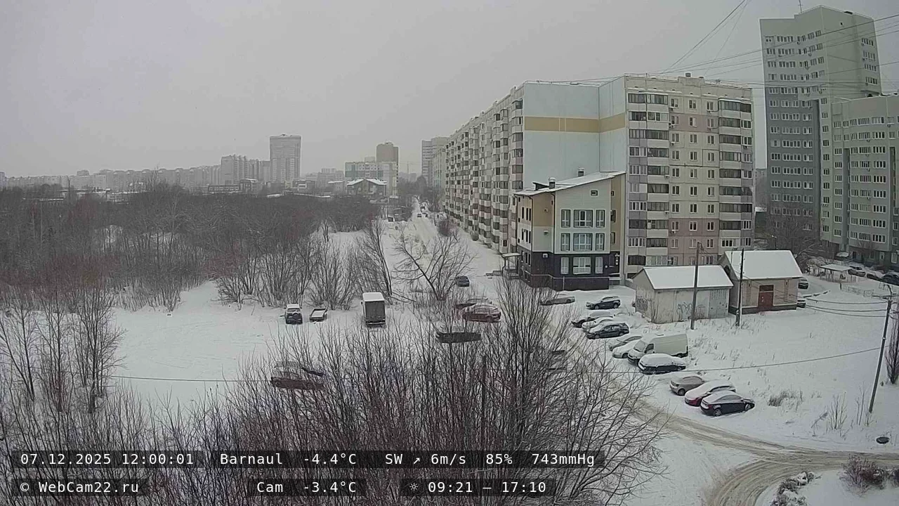 Кадр с камеры 7 декабря 2025 года