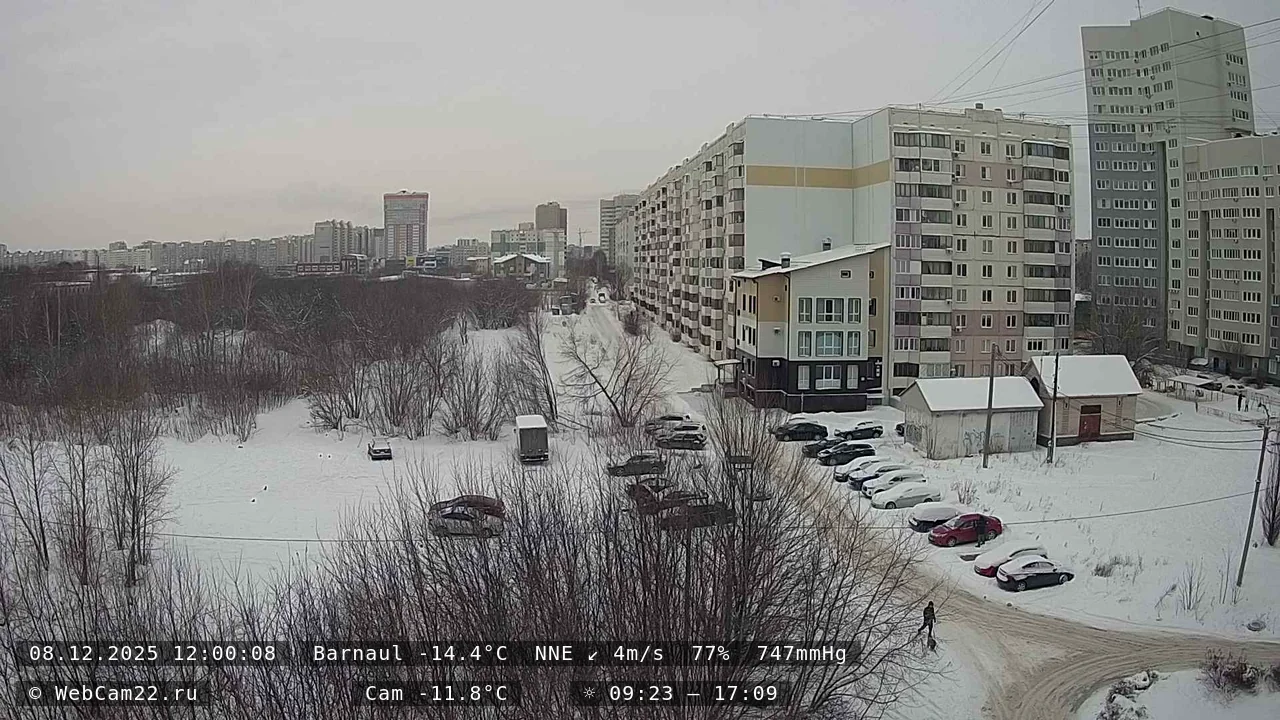 Кадр с камеры 8 декабря 2025 года