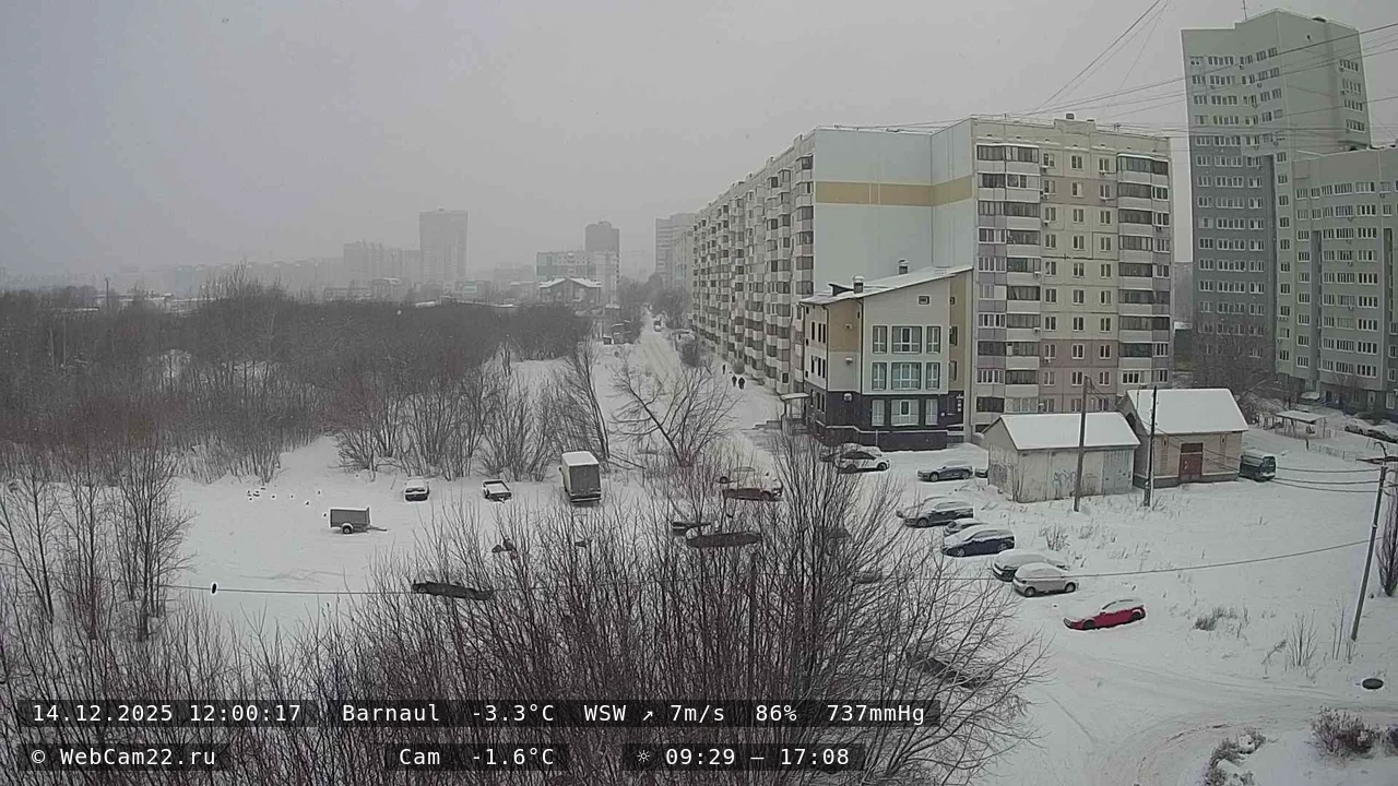 Кадр с камеры 14 декабря 2025 года